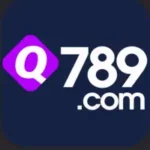 Q789 Game